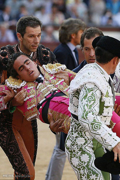 جشنواره گاوبازی در فرانسه