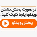 دو توله پلنگ در جنگل‌های برفی مازندران