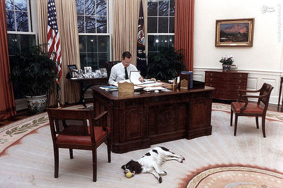 سگ‌های کاخ سفید +عکس