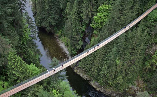 دیدنی‌ترین پل‌های پیاده‌روی جهان +عکس