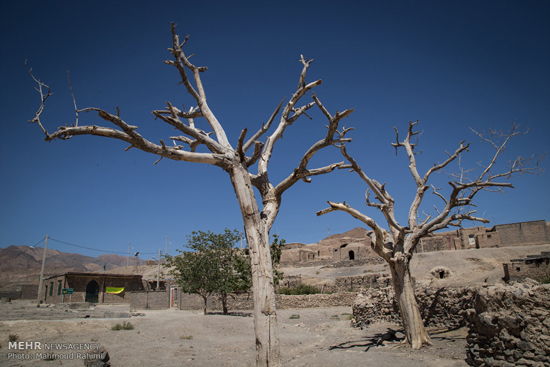 بیست سال خشکسالی