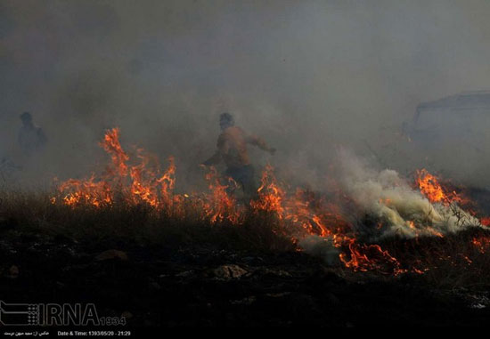 عکس: آتش سوزی در پارک ملی گلستان