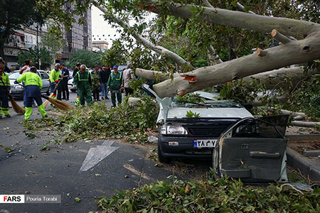 طوفان شدید در تهران و له شدن پراید زیر درخت