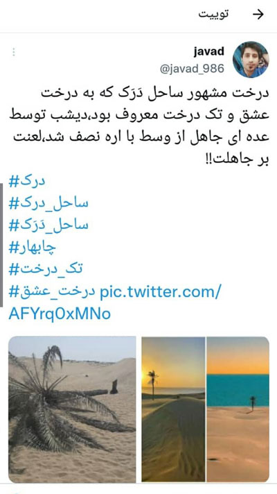 واکنش‌ها به قطع‌شدن تک درخت زیبای «دَرَک» 