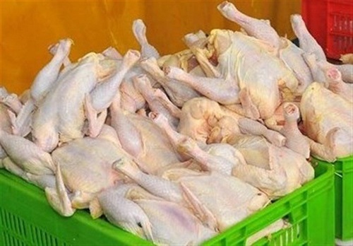 قیمت مرغ روی کیلویی ۱۵۵۰۰ تومان ماند