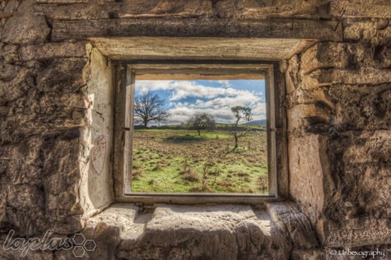 عکس: رویای پنجره ها