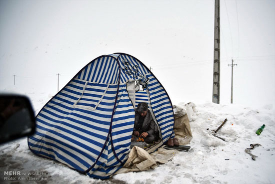 عکس: تفریح زمستانه در ارتفاعات سپیدان