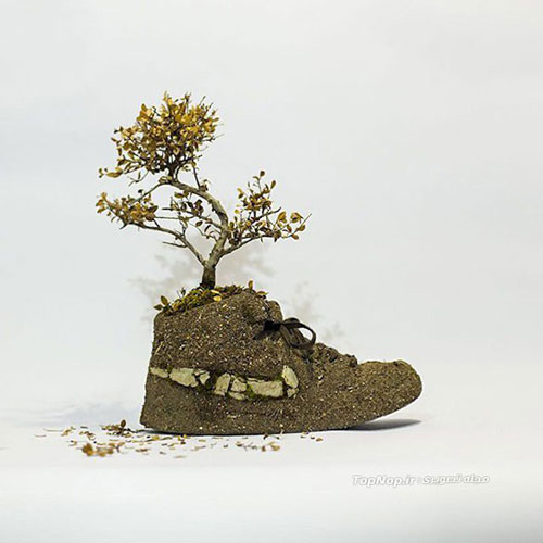پرورش گل روی کتانی‌ های Nike +عکس