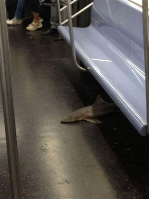 عکس: یک مترو و هزاران اتفاق!