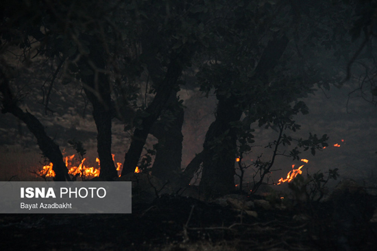 آتش سوزی مراتع در کوهدشت