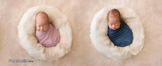 پنج قلوهایی که در نوزادی مدل شده‌اند