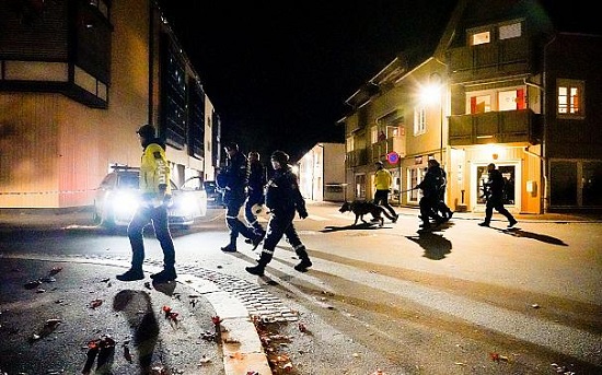 مرد مهاجم در نروژ با تیر و کمان چندین نفر را کُشت