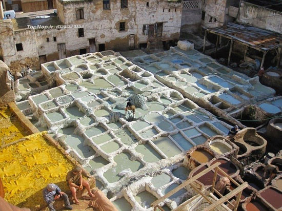 حوضچه‌های چرم سازی در مراکش +عکس