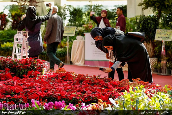 هفدهمین نمایشگاه بین‌المللی گل و گیاه