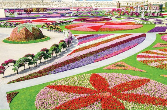بزرگترین باغ گل جهان در دبی +عکس