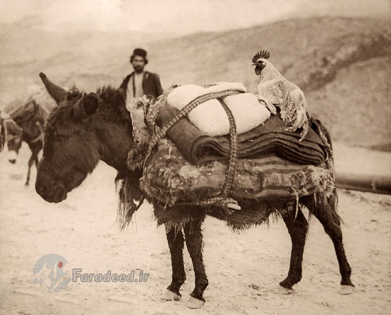 اولین استخراج نفت در ایران