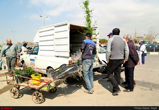 بازار گل و گیاه تهران در آستانه نوروز