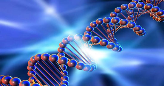 مولکول DNA جایگزین هارد دیسک می شود