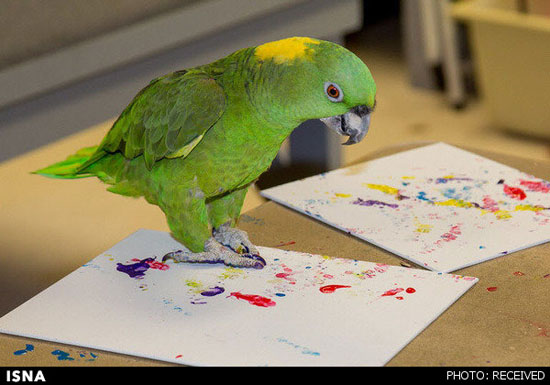 حیواناتی که نقاشی می‌کشند +عکس