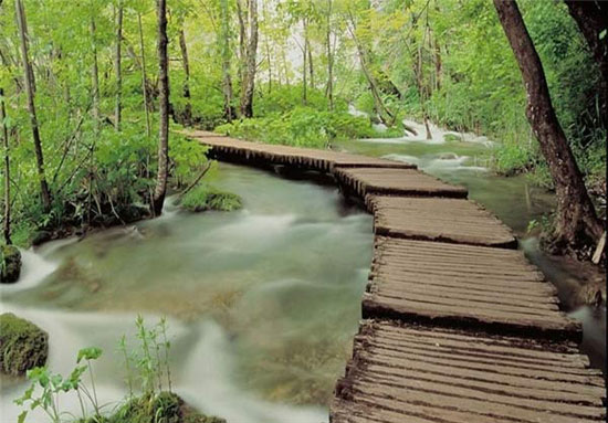 زیبایی های چشم نواز پارک ملی کرواسی