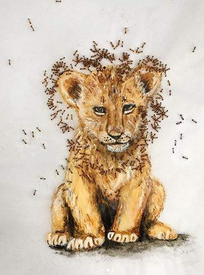 نقاشی‌هایی حیرت‌انگیز با کمک قطاری از مورچه‌های زنده