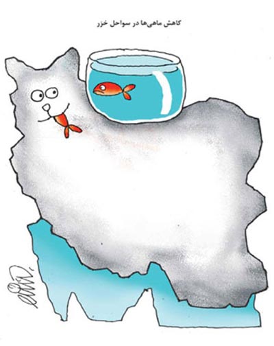 کارتون: کاهش ماهی ها در سواحل خزر