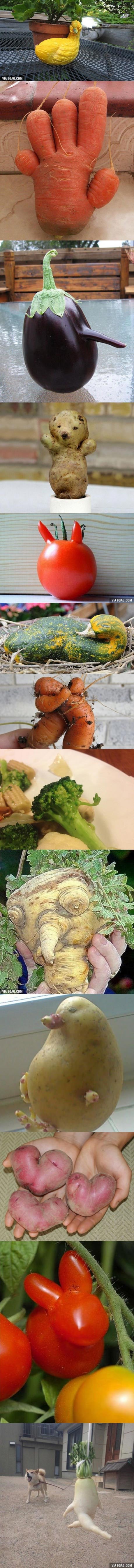 عکس: اشکال مخفی بامزه در سبزیجات!
