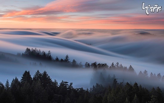 امواجی از مه در برابر آسمان نئونی سان‌فرانسیسکو