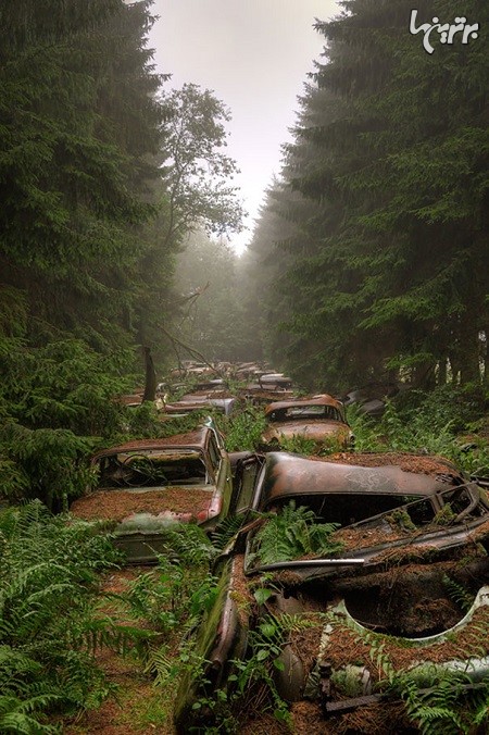 عکس: ترافیک 70 ساله در جنگل بلژیک!
