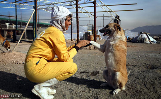 عکس: زنان حامیِ حیوانات بی پناه
