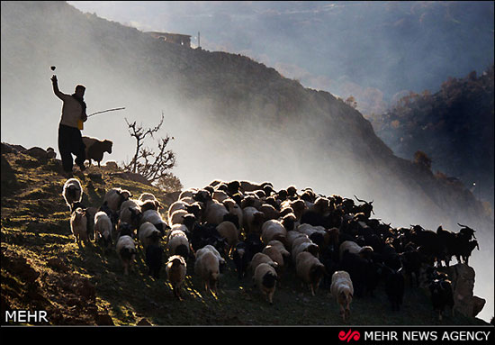 ایران از دریچه دوربین عکاس نیوزلندی