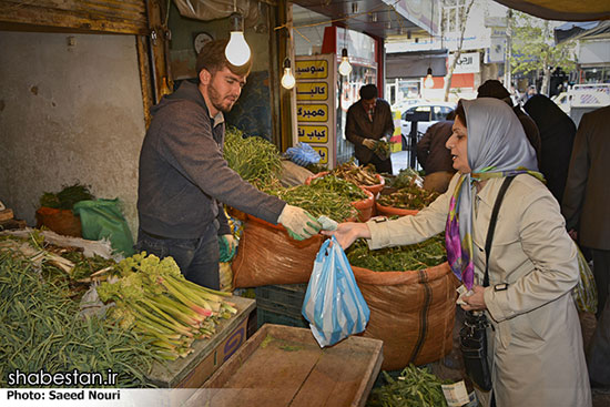 خرید و فروش گیاهان کوهی در ارومیه +عکس