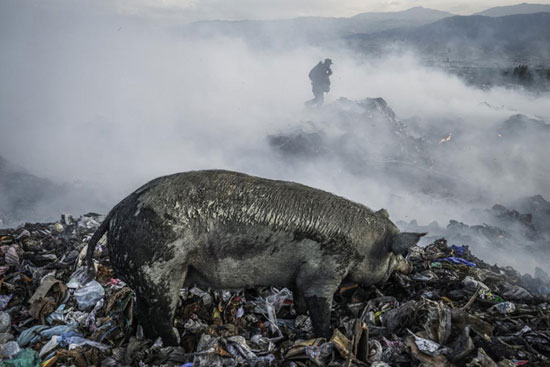 عکس: گذران زندگی با زباله