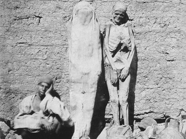 ۱۰ حقیقت شگفت انگیز درباره مومیایی های مصر باستان