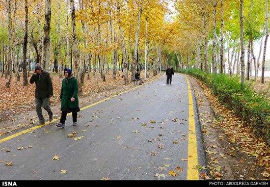 عکس: پاییز طلایی نصف جهان