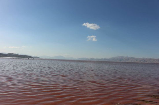 دلایل قرمز شدن دریاچه‌ «مهارلو»
