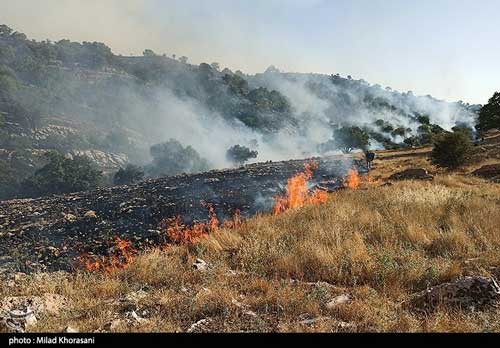 عاملان آتش‌سوزی کوه خائیز دستگیر شدند