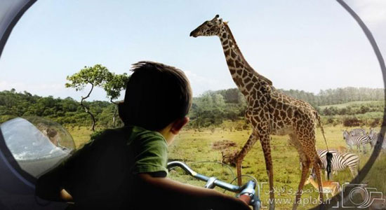 پیشرفته ترین باغ وحش جهان +عکس