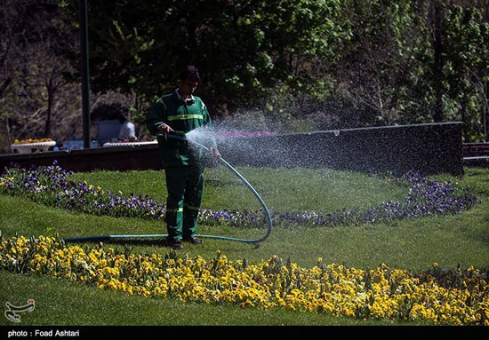 عکس: طبیعت بهاری پارک ملت تهران