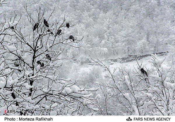 گزارش تصویری ار منظره برفی ماسوله