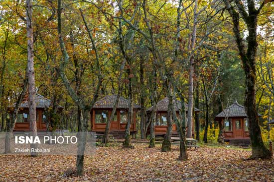 ایران زیباست؛ پارک جنگلی ساری