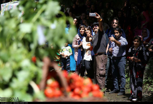 جشنواره توت فرنگی در «شیان»