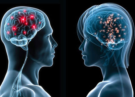 آیا واقعا مغز زنان کوچکتر از مردان است؟!