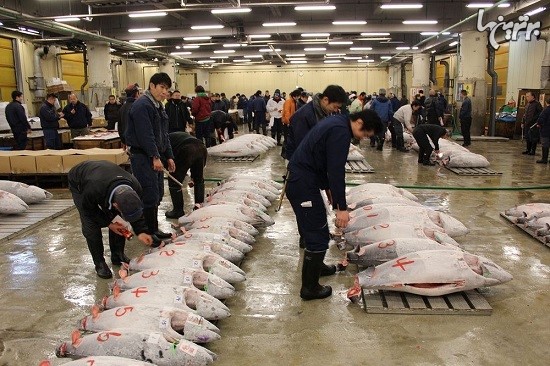 بزرگترین بازار ماهی جهان در توکیو