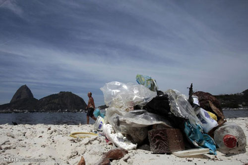آلودگی خلیج گوانابارای برزیل +عکس