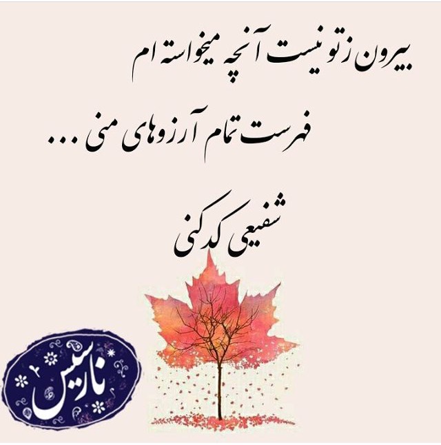 مینی شعر (451)