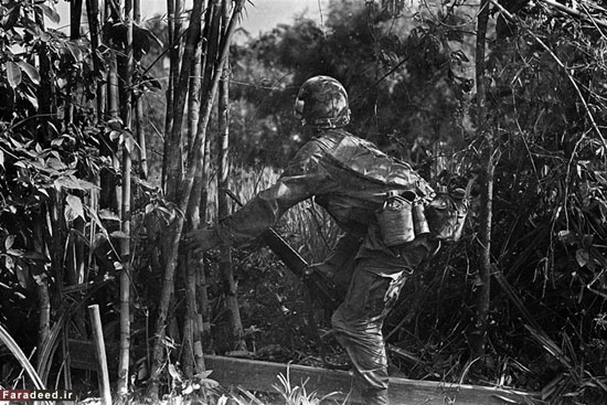عکس: روایت یک سرباز از جنگ ویتنام