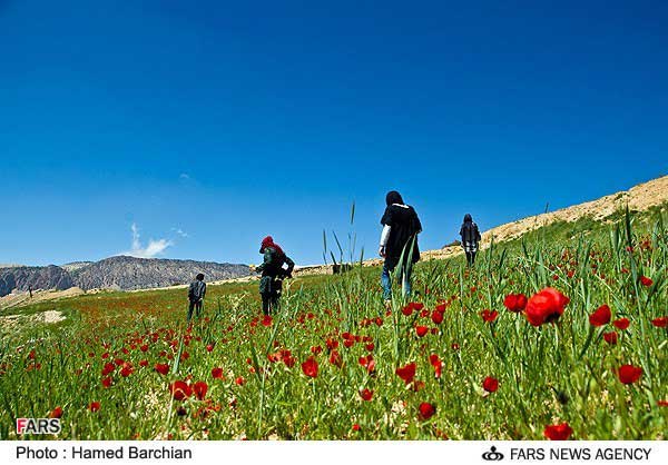 عکس؛ طبیعت زیبای شاه کوه گلستان