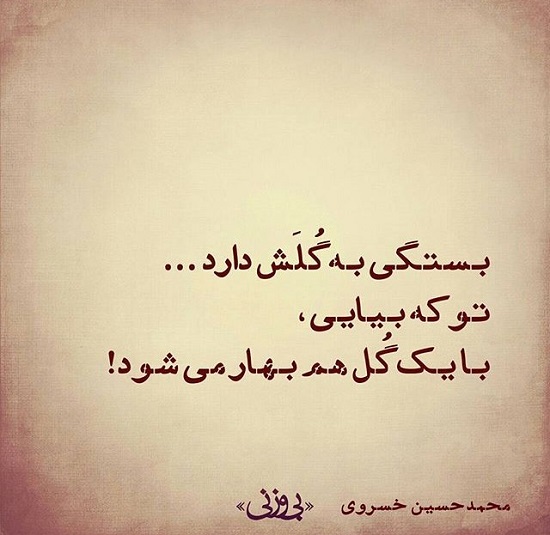 مینی شعر (224)