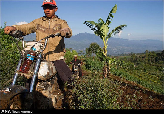 عکس: حمل و نقل در روستاهای اندونزی